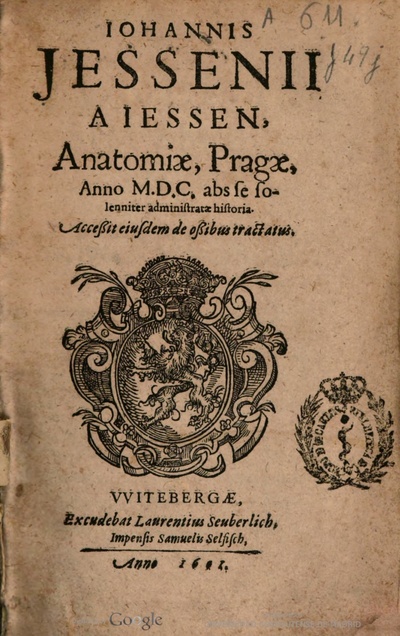 Obrázek #7 z 7