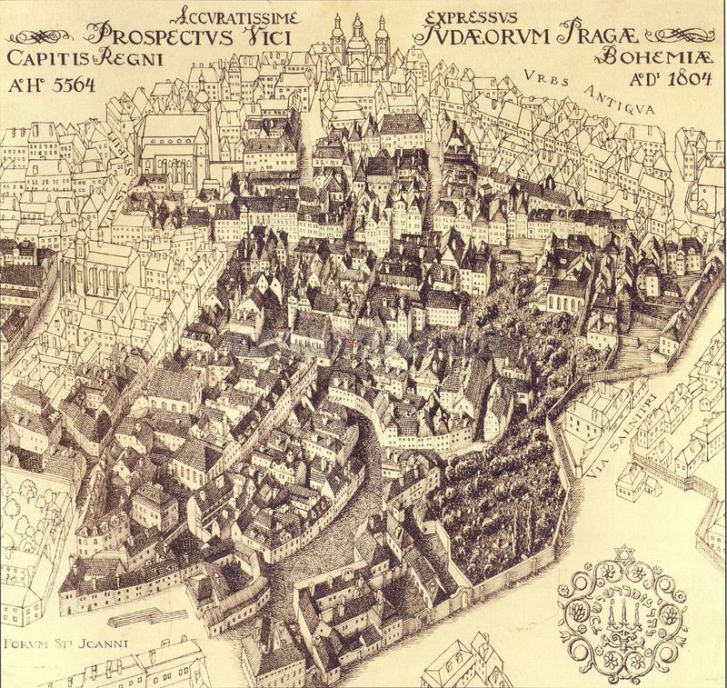 Obrázek #8 z 8