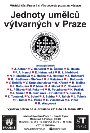 Obrázek #11 z 11