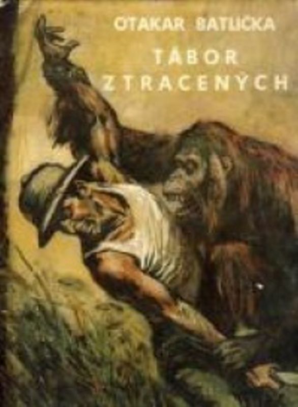 Obrázek #7 z 12