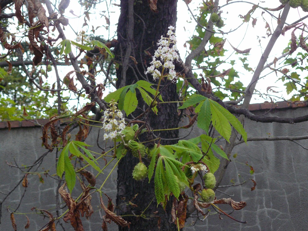 Obrázek #3 z 5