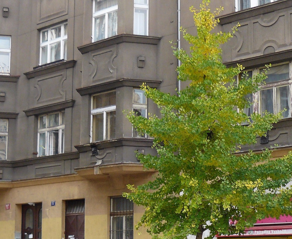 Obrázek #2 z 5