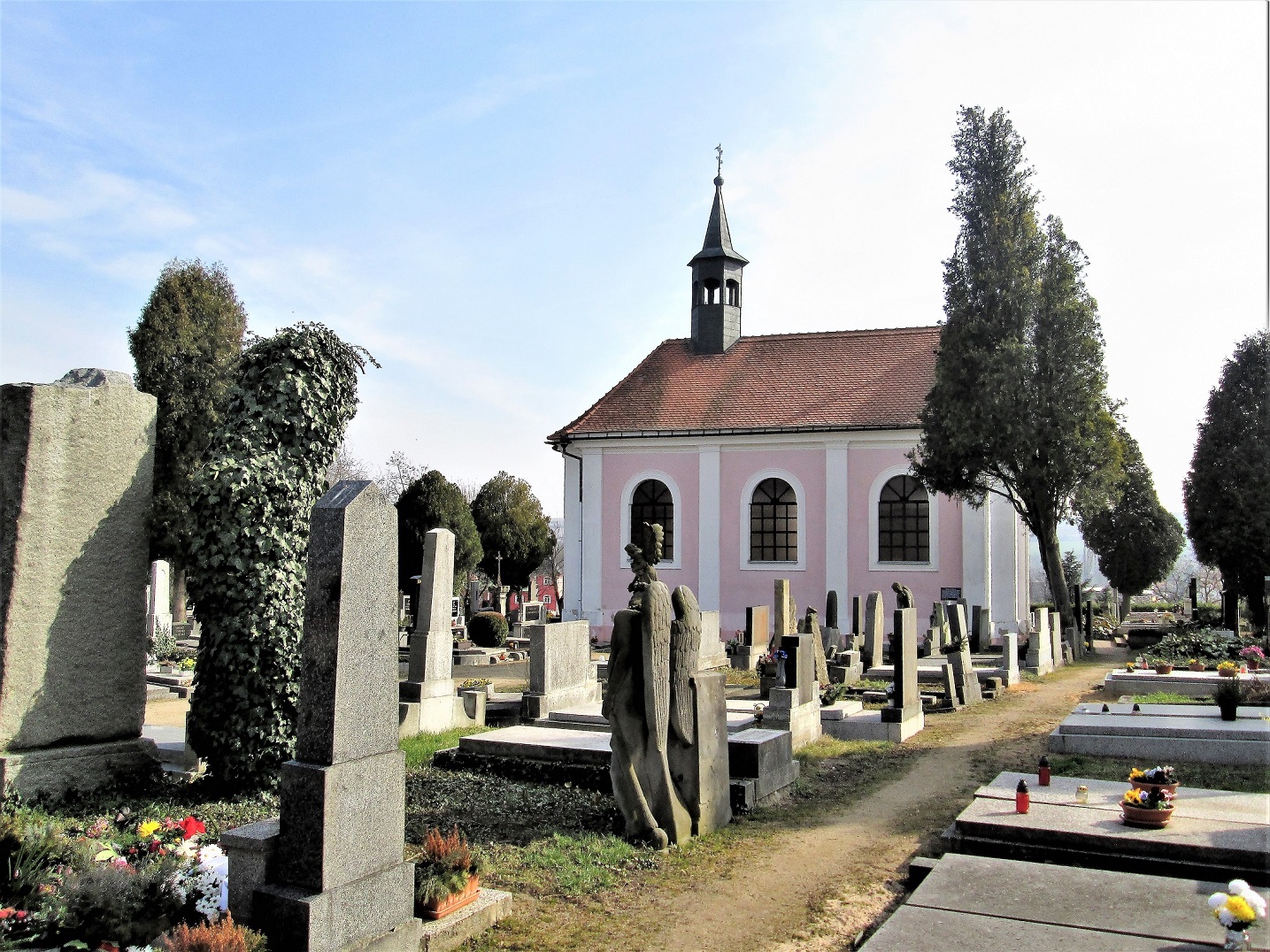 Obrázek #7 z 9
