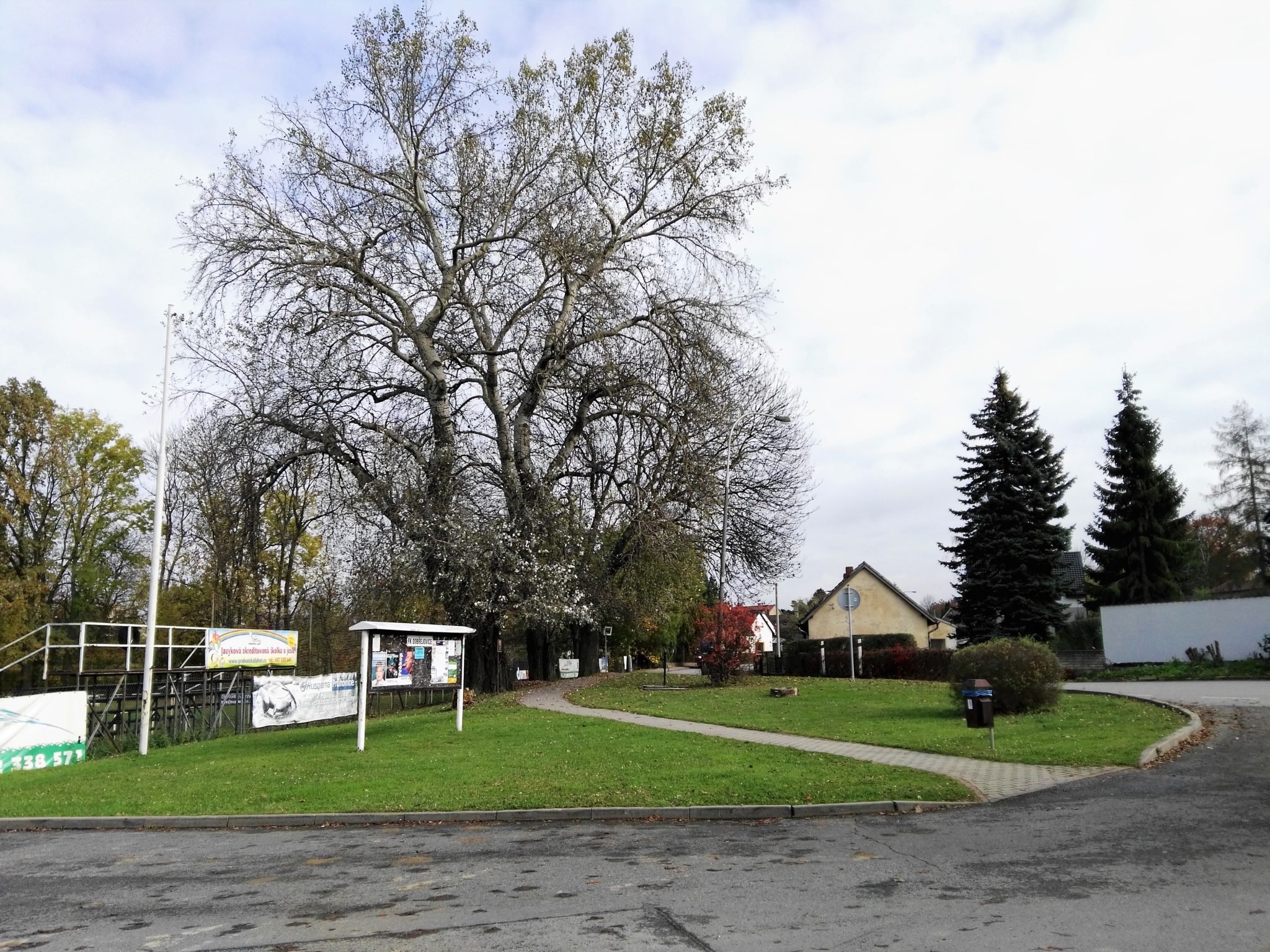Obrázek #6 z 7