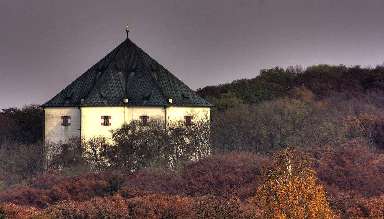 Obrázek #5 z 6