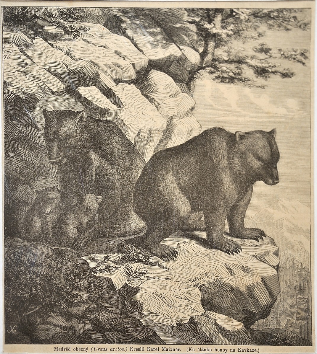 Obrázek #25 z 25