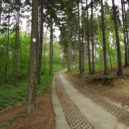 Run for Movember: Běh pro zdraví mužů - Praha,_Hostivař,_Přírodní_park_Hostivař-Záběhlice,_cesta
