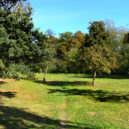 Run for Movember: Běh pro zdraví mužů - Small_Park,_Prague_Hostivař