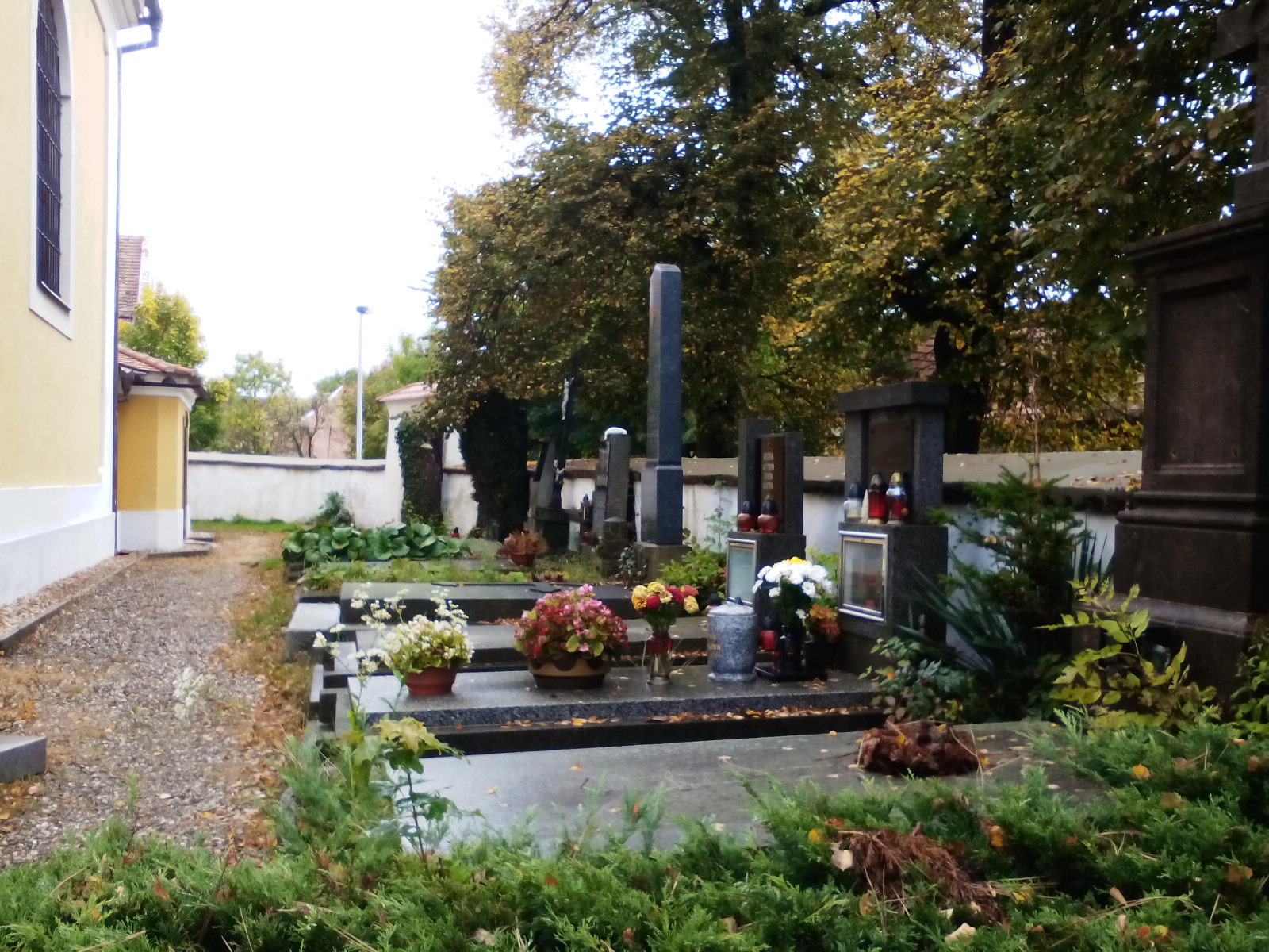 Obrázek #2 z 7