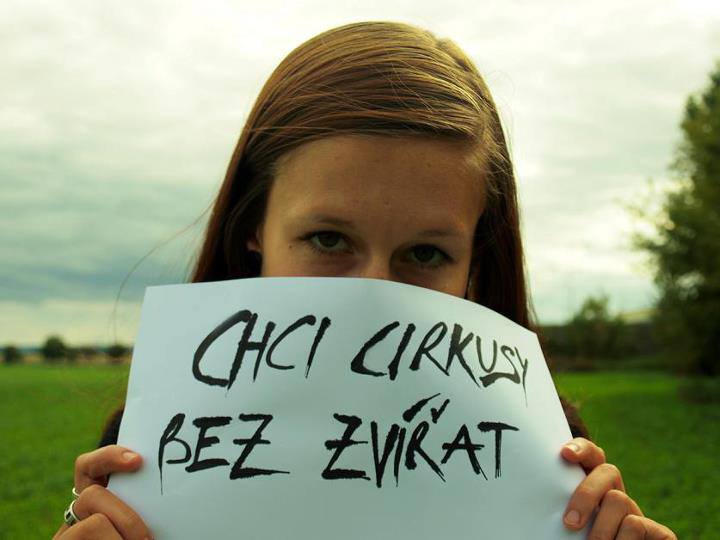 Obrázek #10 z 10