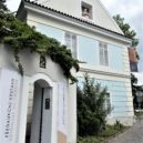 Milionová aukce na Praze 6. Nejdražší obraz v Arthouse Hetmánek se bude nabízet za 11 miliónů - 1 arthouse