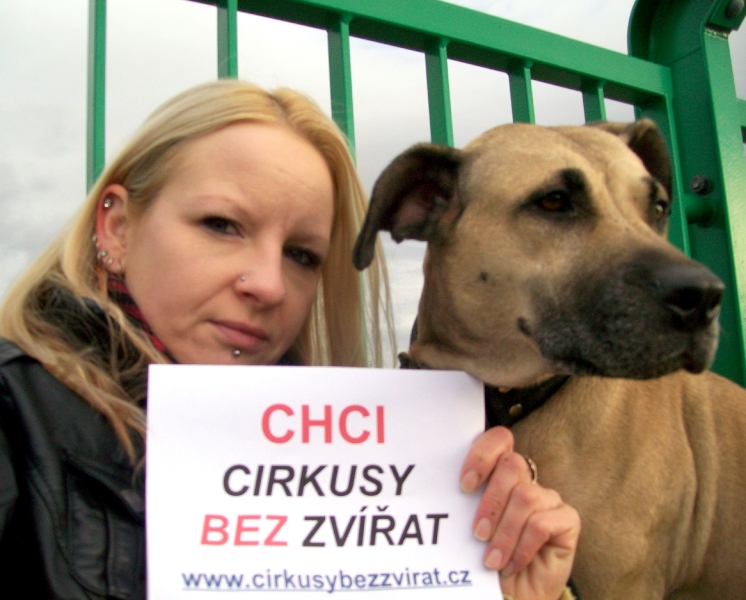 Obrázek #9 z 10