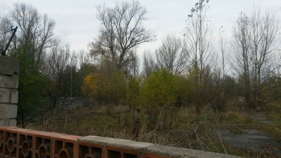 Obrázek #12 z 21