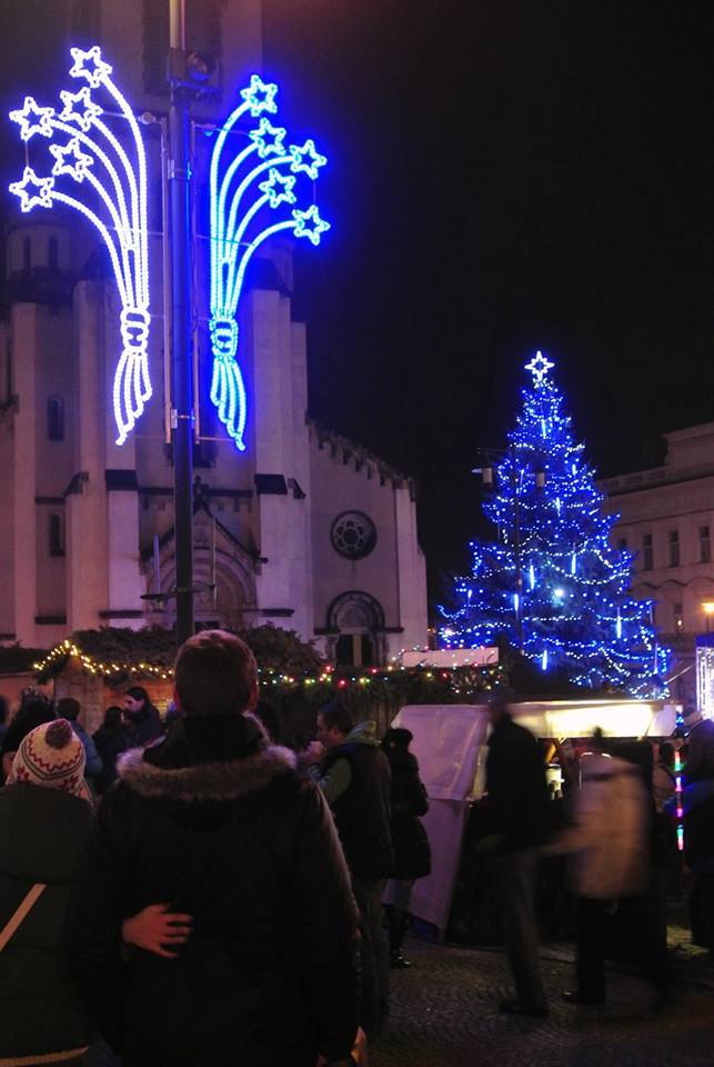 Obrázek #6 z 6