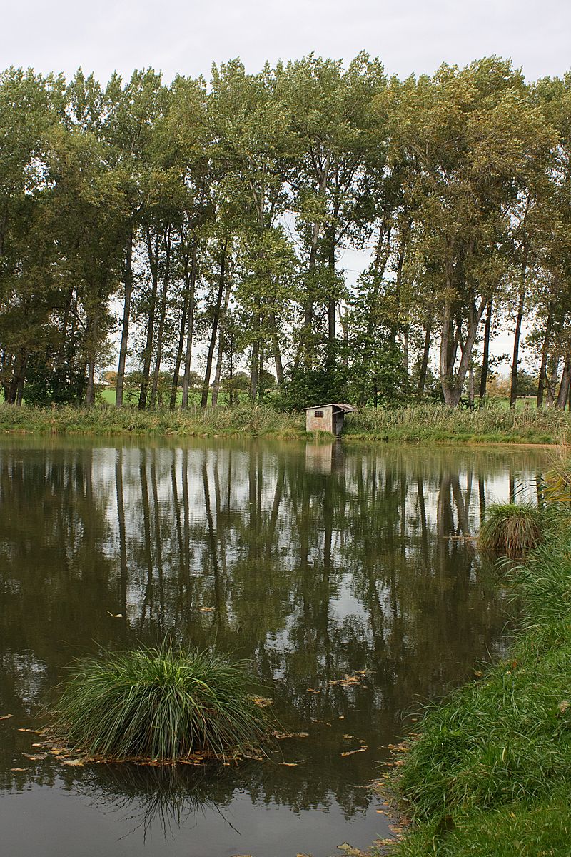 Obrázek #6 z 6