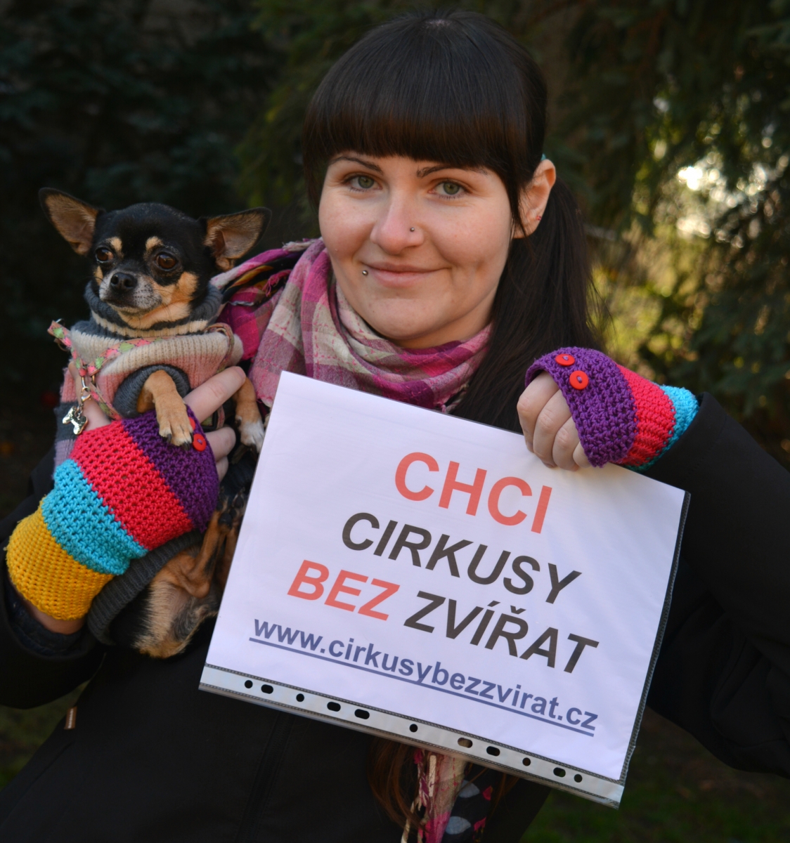 Obrázek #8 z 10