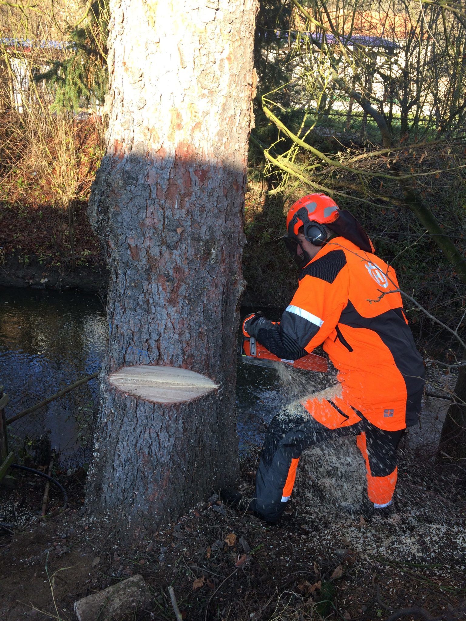 Obrázek #5 z 12