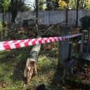 Hřbitov po nedělní vichřici - Hřbitov po vichřici