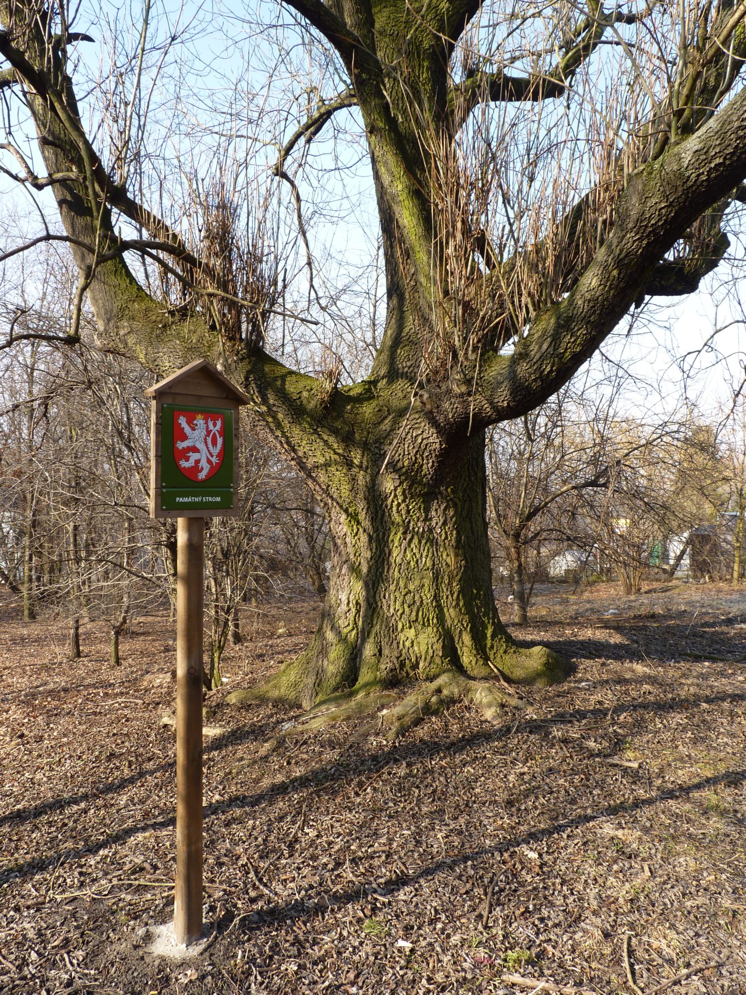 Obrázek #9 z 13