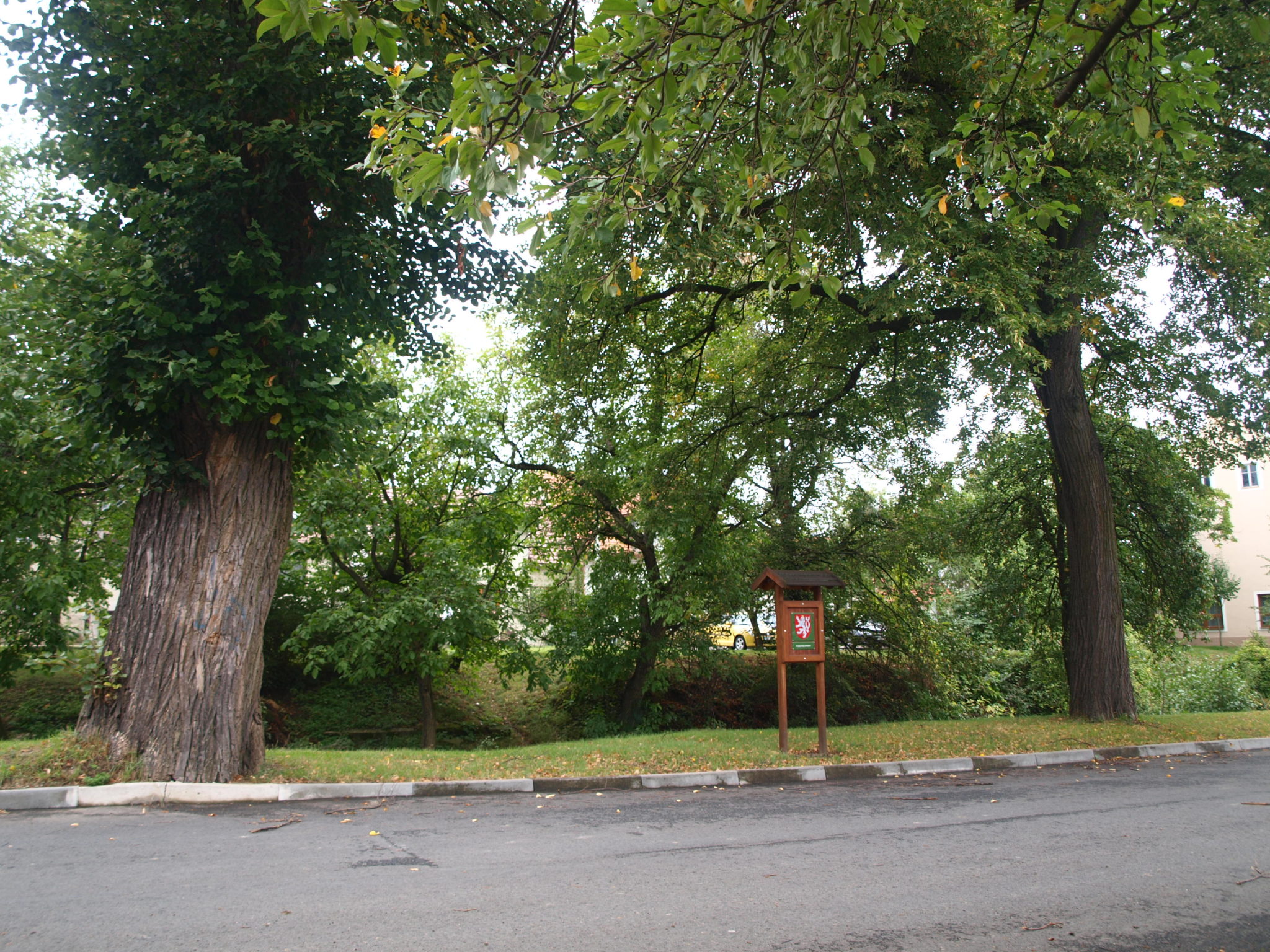 Obrázek #8 z 13