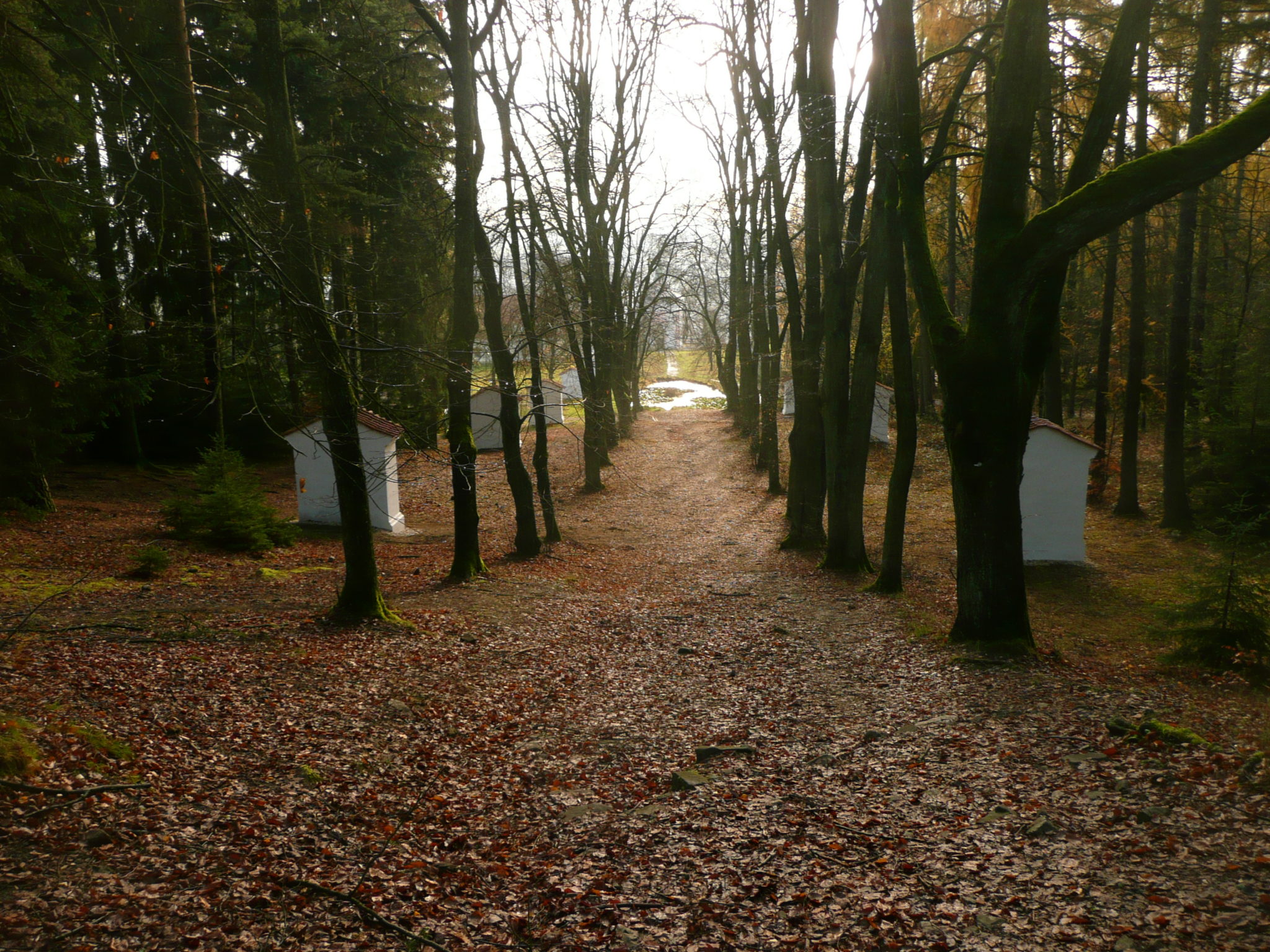 Obrázek #5 z 7