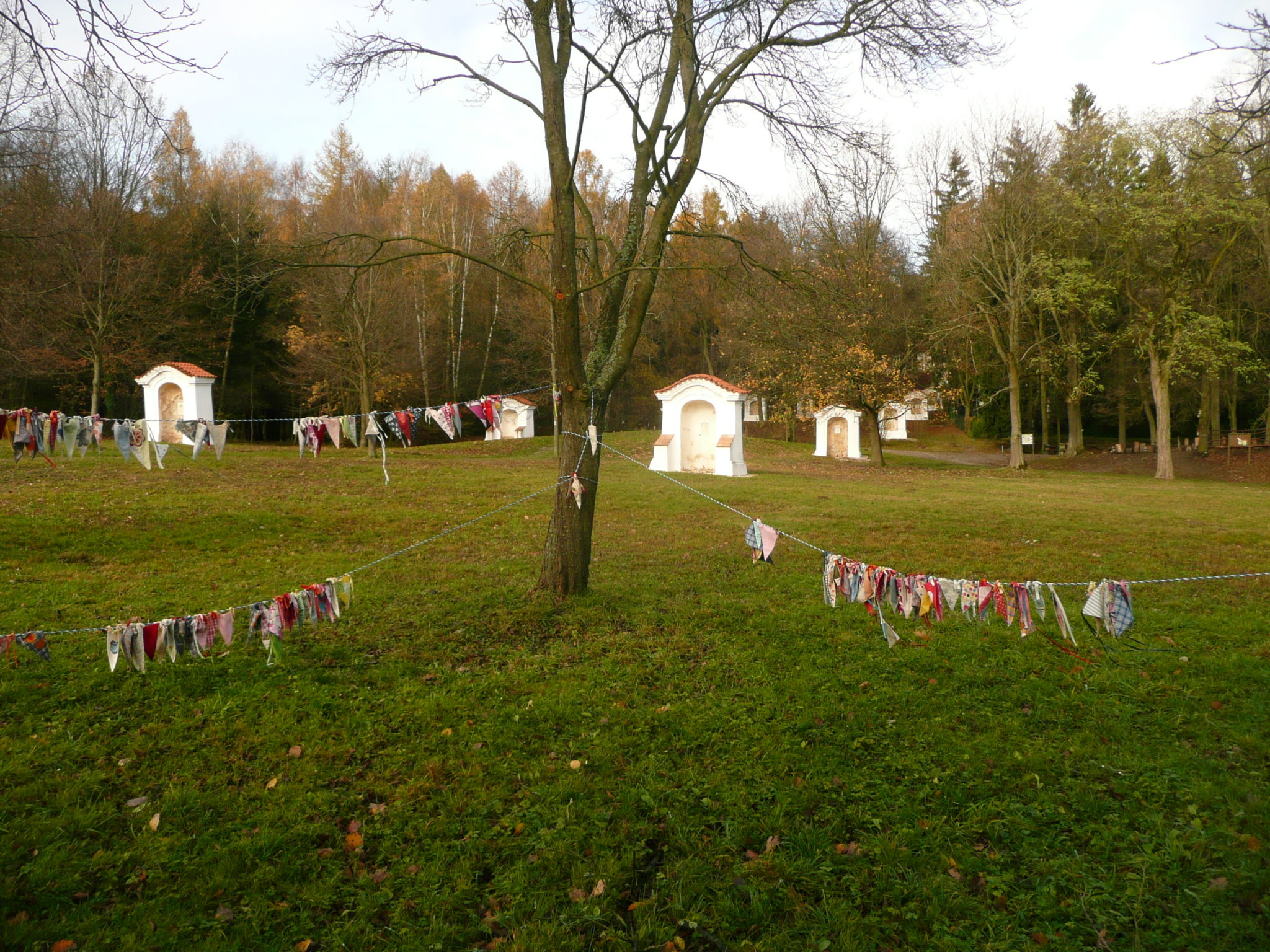 Obrázek #6 z 7