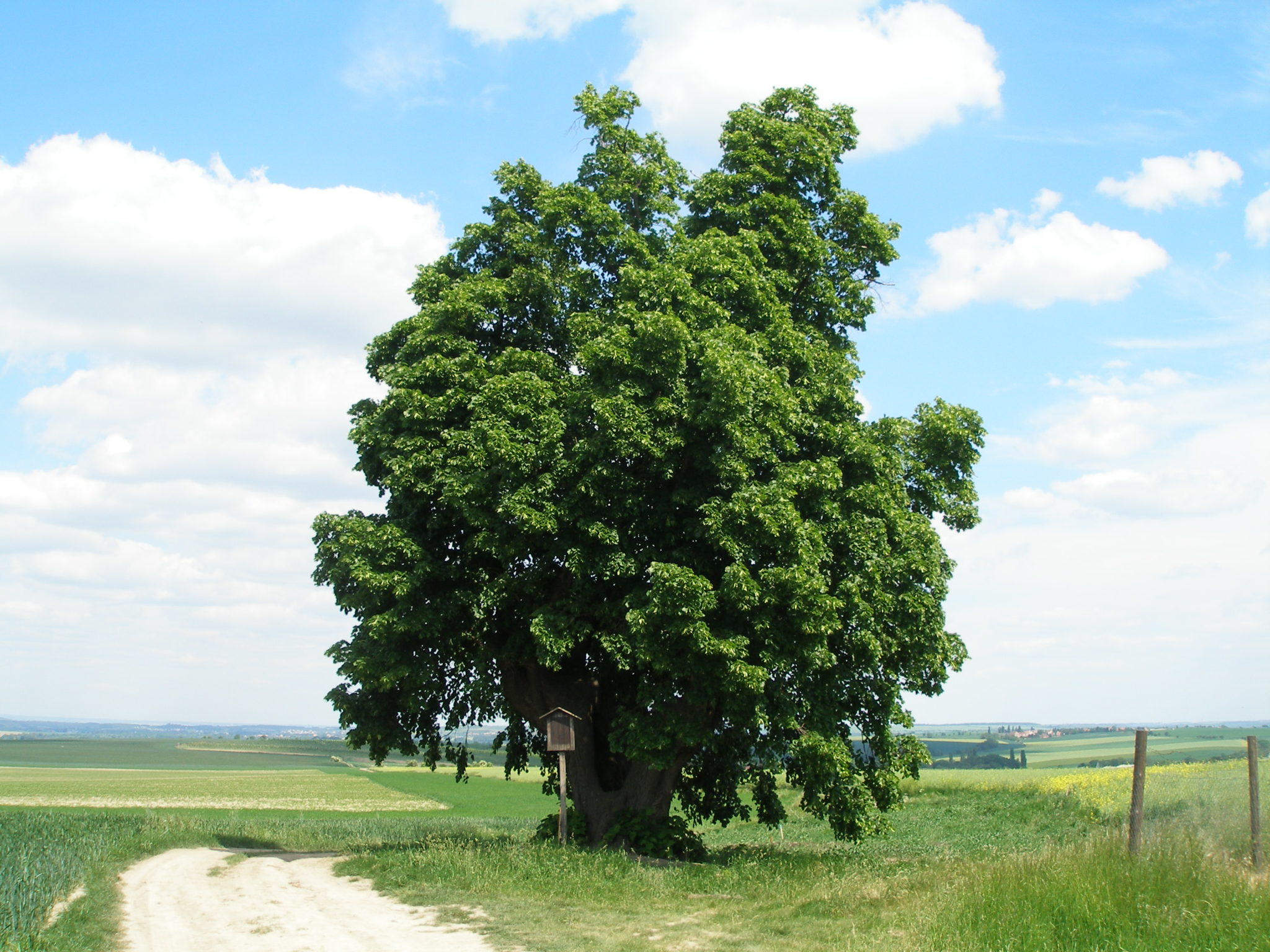Obrázek #5 z 13