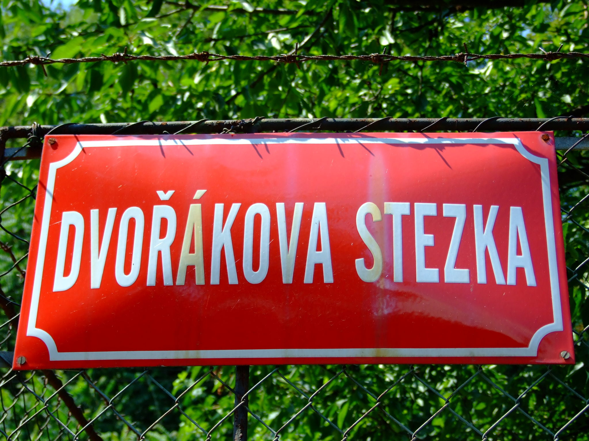 Obrázek #8 z 11