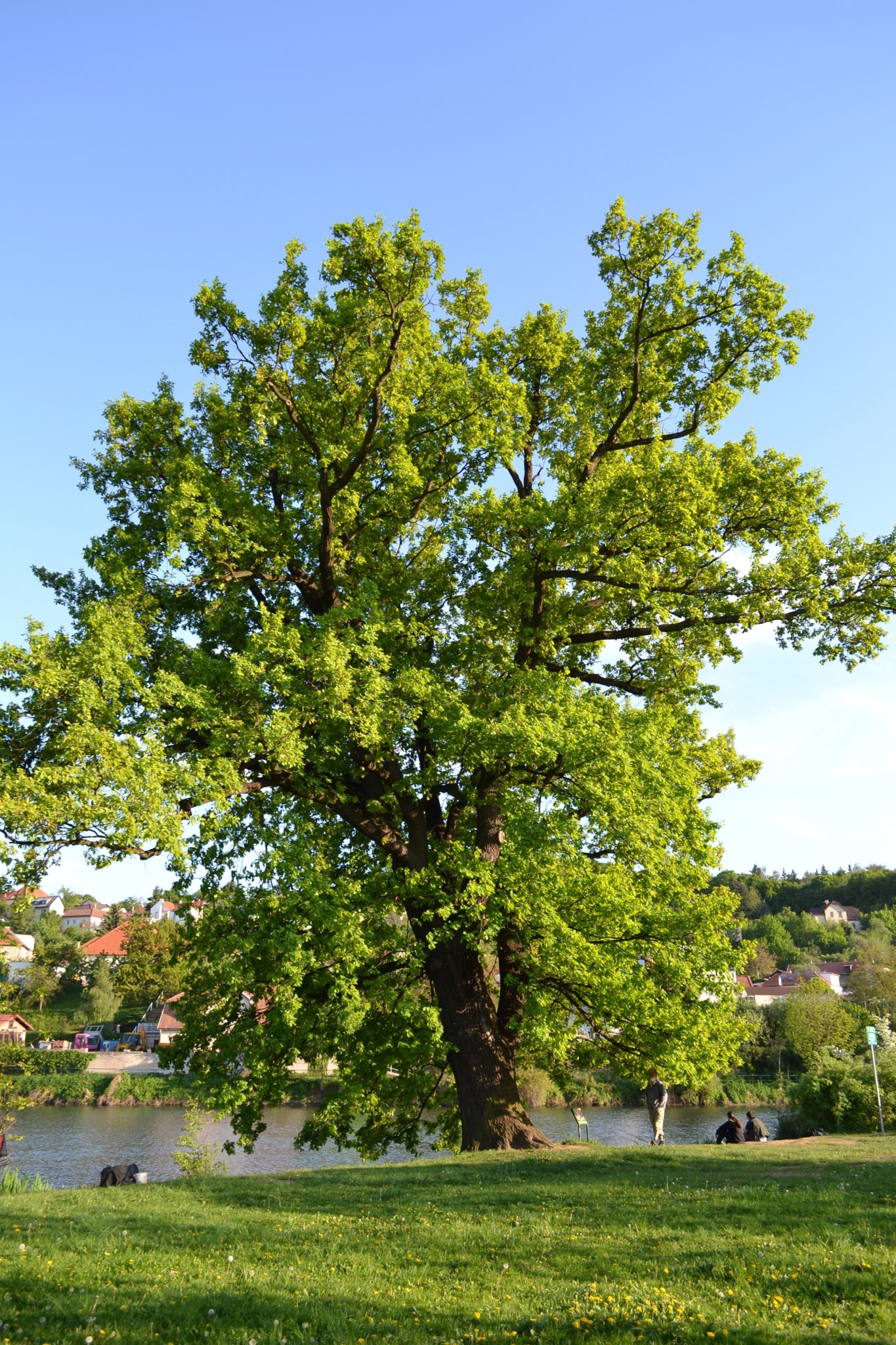 Obrázek #4 z 13