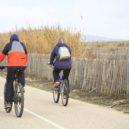 Cyklistika ve městě, nebezpečná místa pro cyklisty - cyclist_bike_person_promenade_landscape_road_bailey-1168583.jpg!d