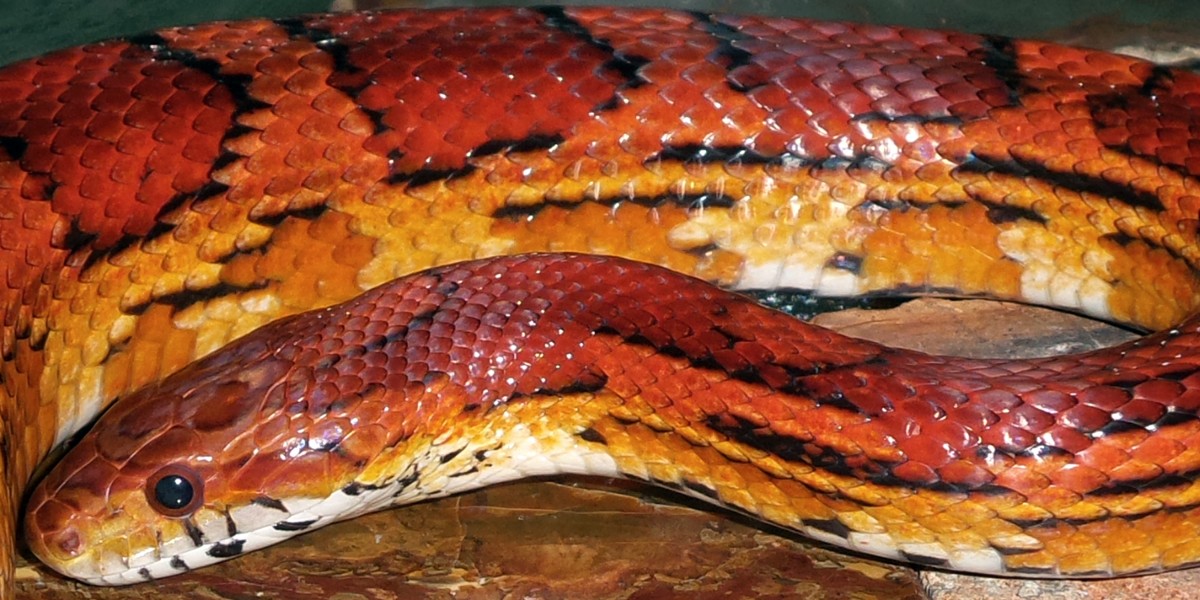 Obrázek #8 z 9