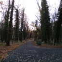 Park u zámku Měšice - zamecky park Měšice