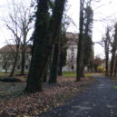 Park u zámku Měšice - zamecky park Měšice