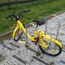 Žlutá ofo kola spustila zkušební provoz, zatím jsou zdarma - Ofo kolo