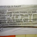 Knihovna z palet - 24862387_1860830170896447_1680598124136774762_n