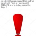 Na Facebooku se šíří zpráva o bílé dodávce, která krade psy. Policie řekla, jak je to doopravdy - Hoax1 Krade bílá dodávka psy?