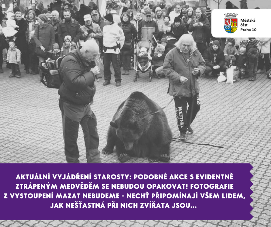 Obrázek #4 z 9