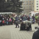 Medvěd na vánočních trzích - Medvěd v řetězech