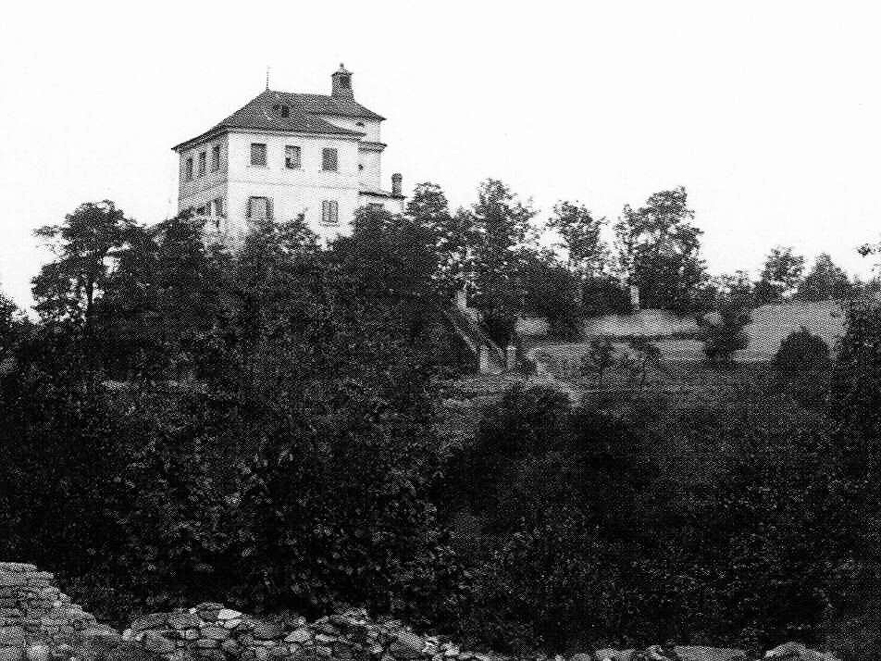 Obrázek #7 z 9