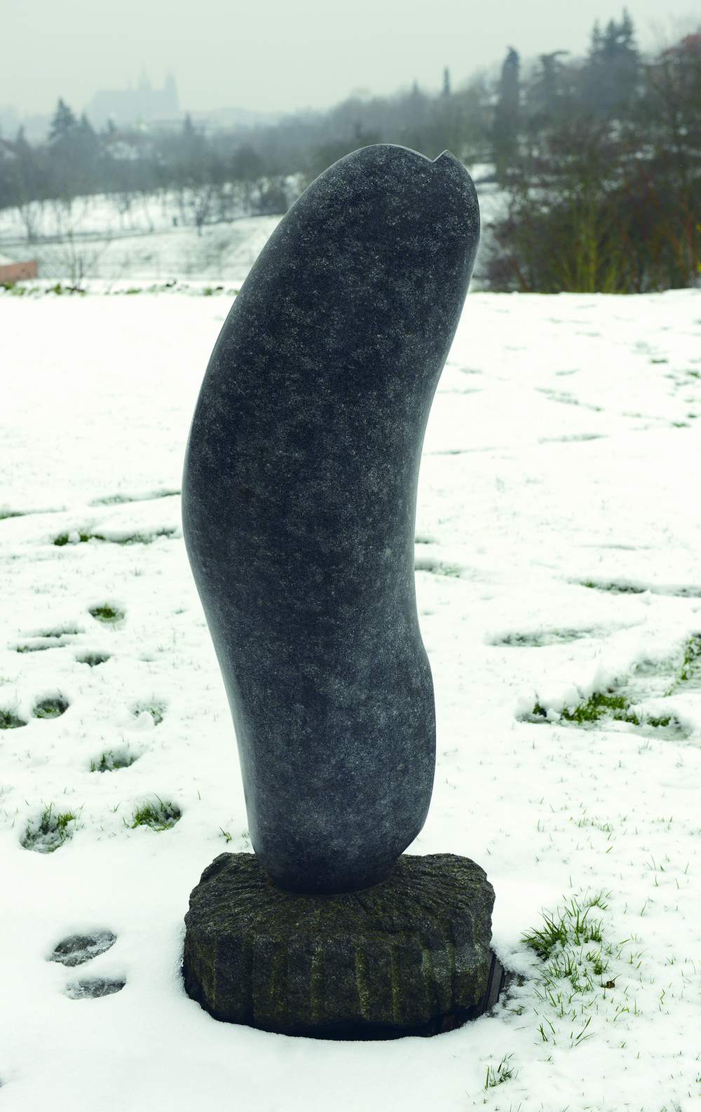 Obrázek #7 z 15
