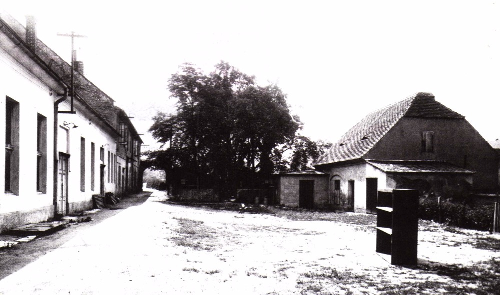 Obrázek #14 z 16