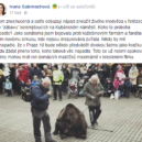 Medvěd na vánočních trzích - Cabrnochová, medvěd reakce