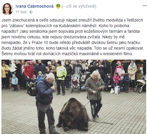 Obrázek #9 z 9