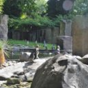 Zvířata v ZOO slaví Vánoční svátky po svém - štědrý den zoo praha