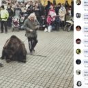 Medvěd na vánočních trzích - Medvěd FB reakce