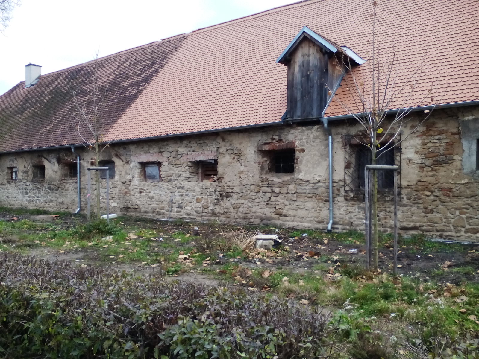 Obrázek #12 z 16
