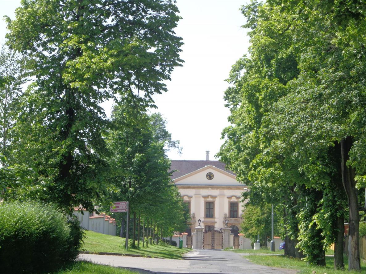 Obrázek #6 z 6