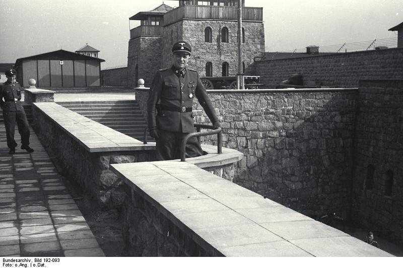 Obrázek #15 z 16