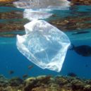 Igelitky v obchodech zdarma? Od nového roku na ně zapomeňte - plastiková taška, igelitka, nákup, pytlík