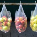 Igelitky v obchodech zdarma? Od nového roku na ně zapomeňte - plastiková taška, igelitka, nákup